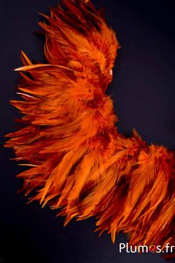 Franje haan - veerlengte 10-15 cm - wilde gloed